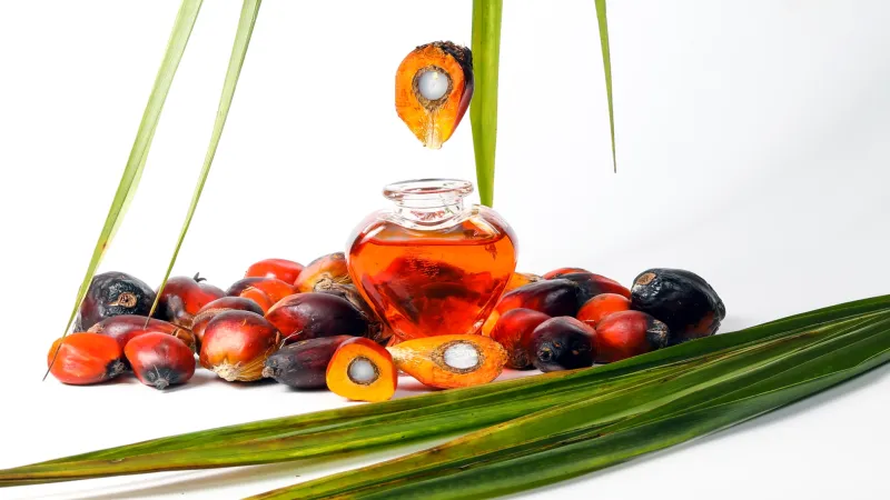 Palm yağı, madalyonun öteki yüzü