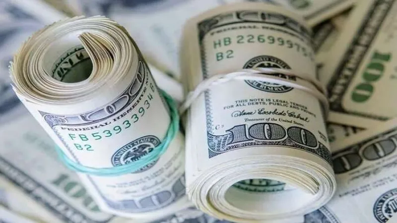 Merkez'in toplam rezervler rekor kırdı