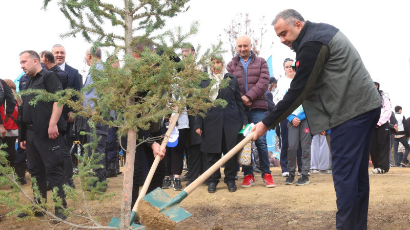 Onikişubat Belediyesi, Milli Ağaçlandırma Günü’nde yangından etkilenen alanları yeniden yeşertti